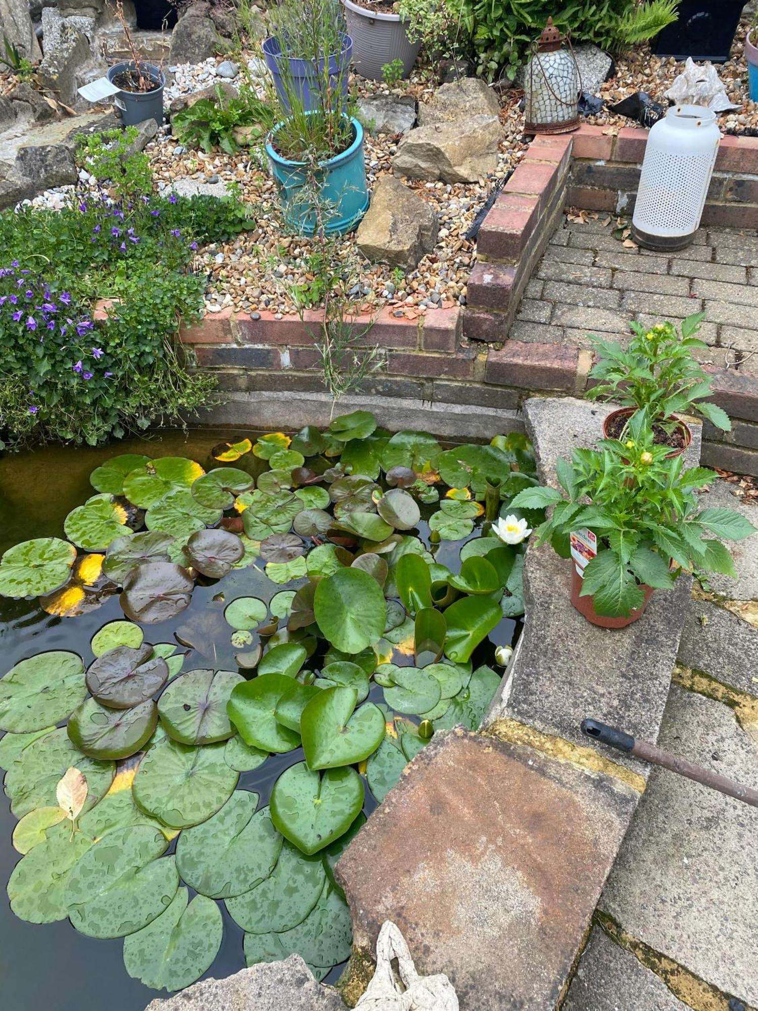 Pond Cottage Purley Exterior foto